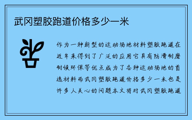 武冈塑胶跑道价格多少一米