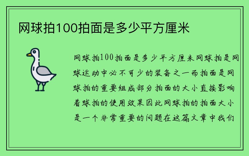 网球拍100拍面是多少平方厘米