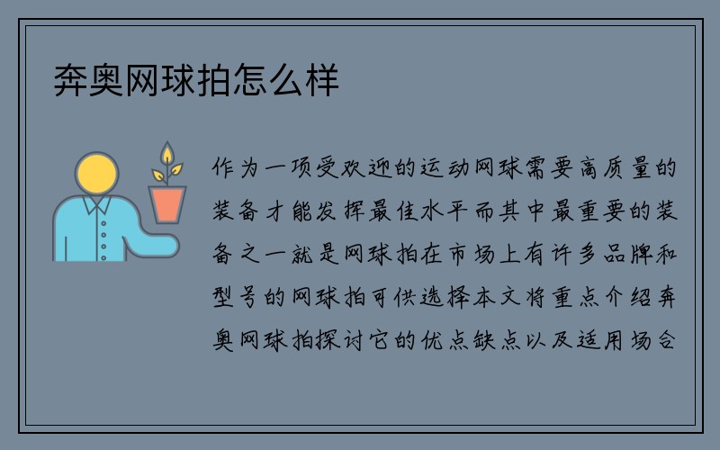 奔奥网球拍怎么样