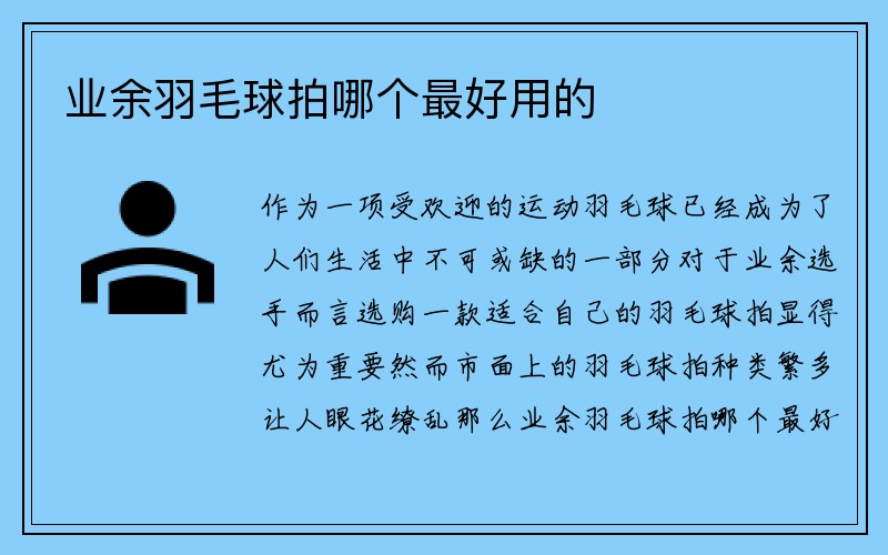 业余羽毛球拍哪个最好用的